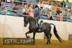 15YN_13987 proof