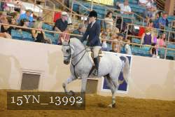 15YN_13992 proof