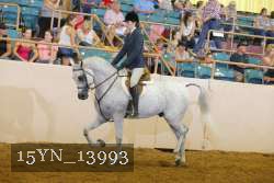 15YN_13993 proof