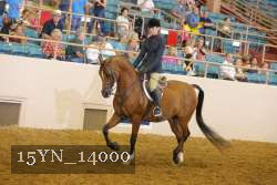 15YN_14000 proof