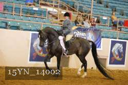 15YN_14002 proof