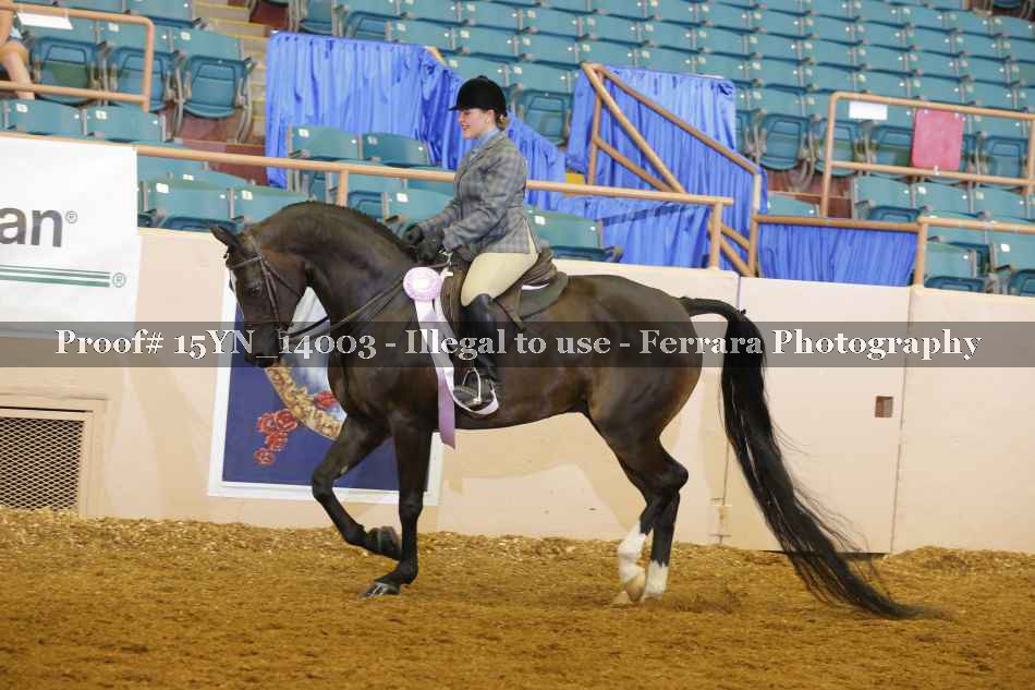 Proof 15YN_14003