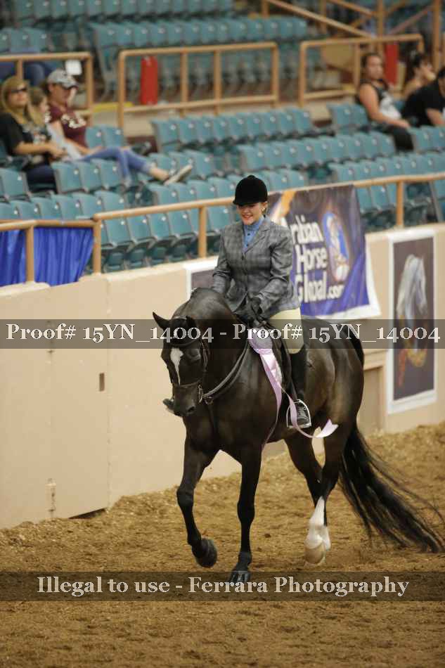 Proof 15YN_14004