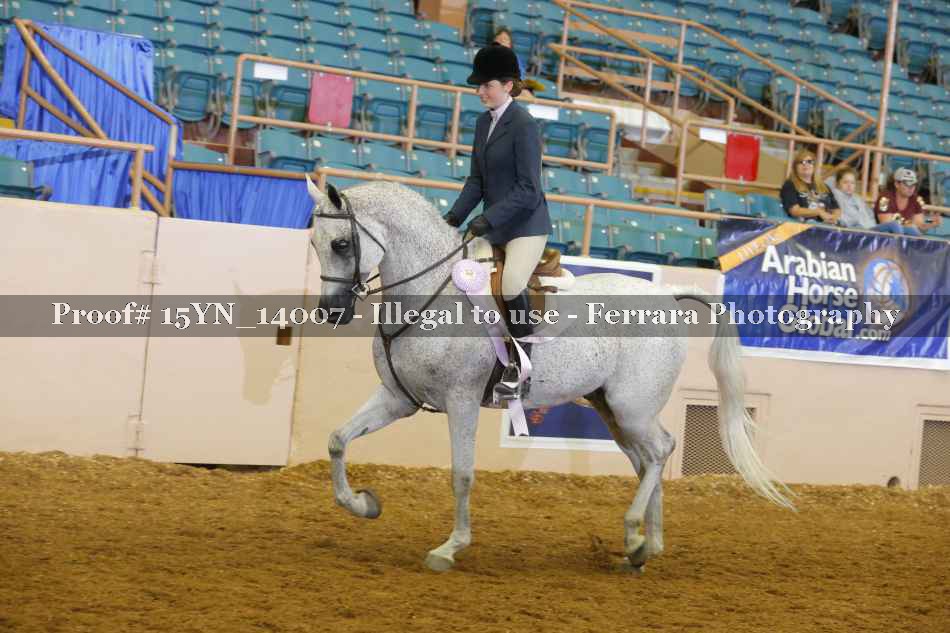Proof 15YN_14007