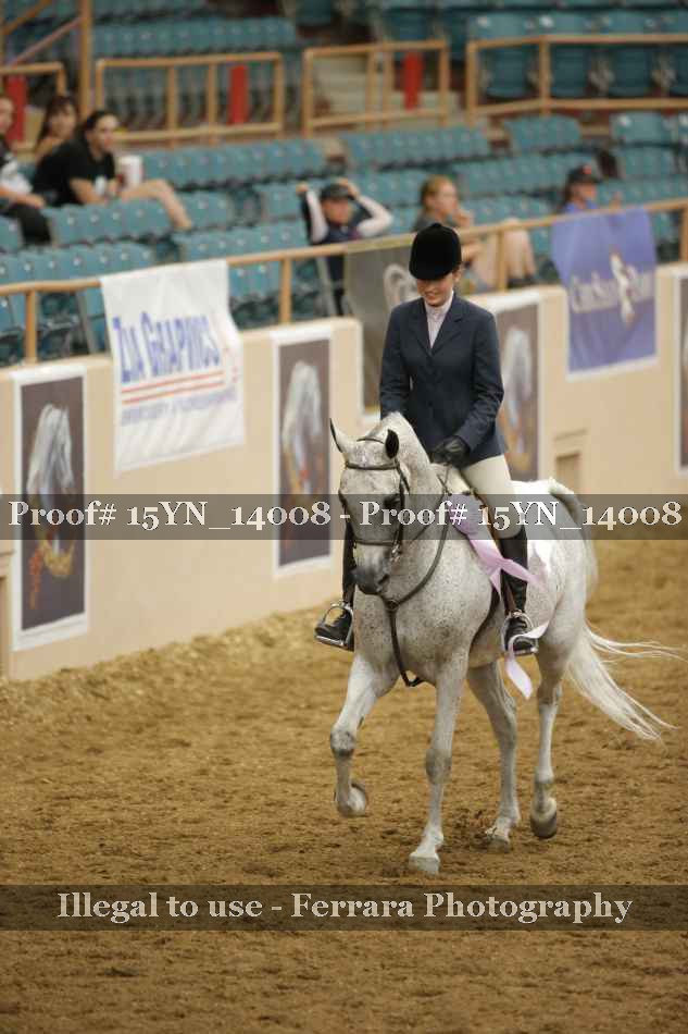 Proof 15YN_14008