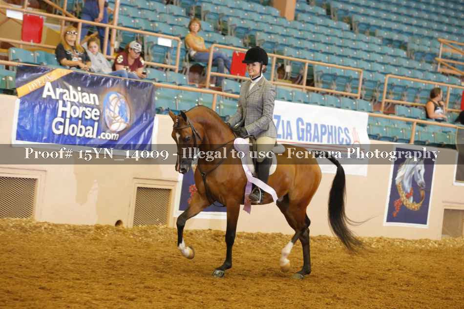 Proof 15YN_14009
