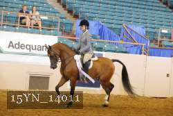 15YN_14011 proof