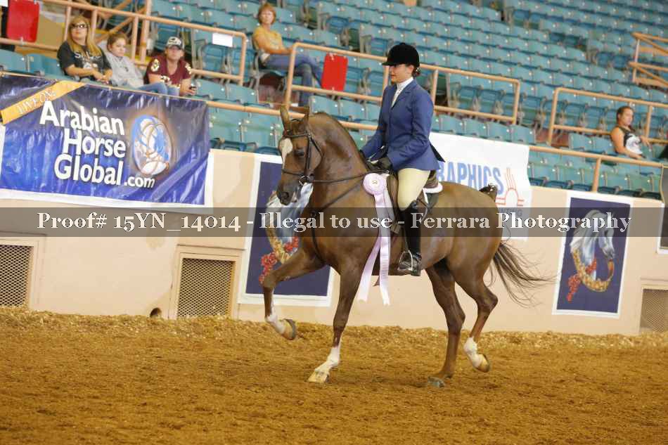 Proof 15YN_14014