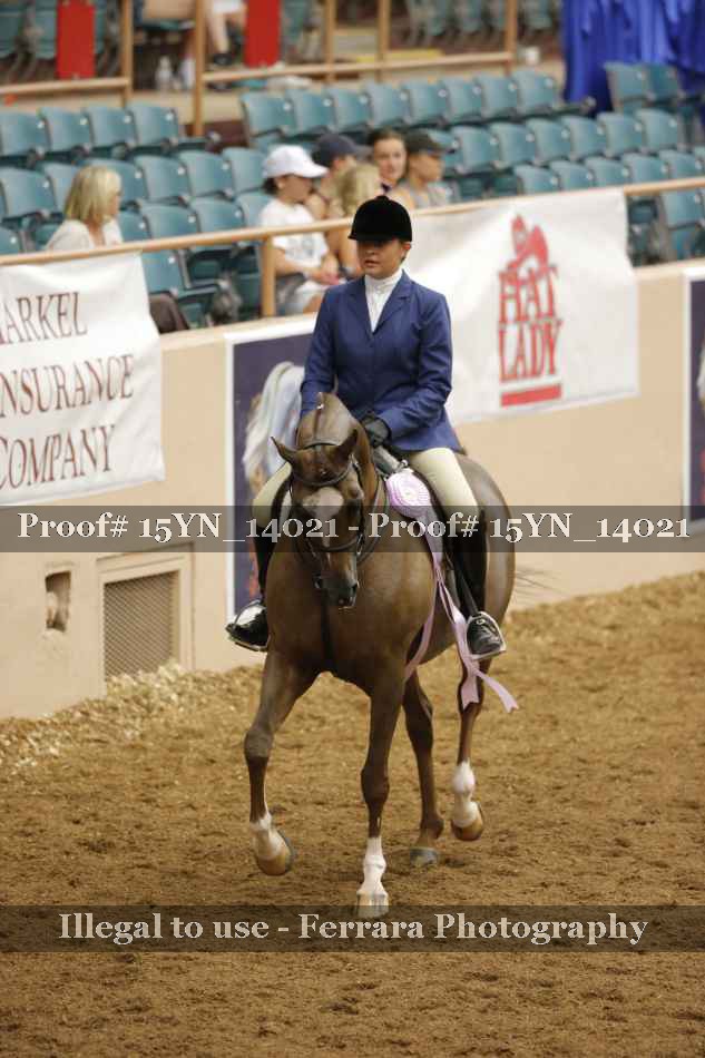 Proof 15YN_14021