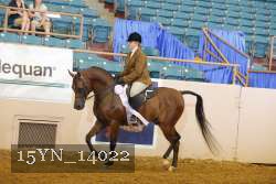 15YN_14022 proof