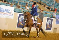15YN_14023 proof