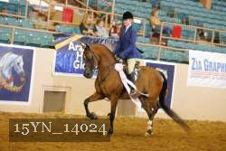 15YN_14024 proof