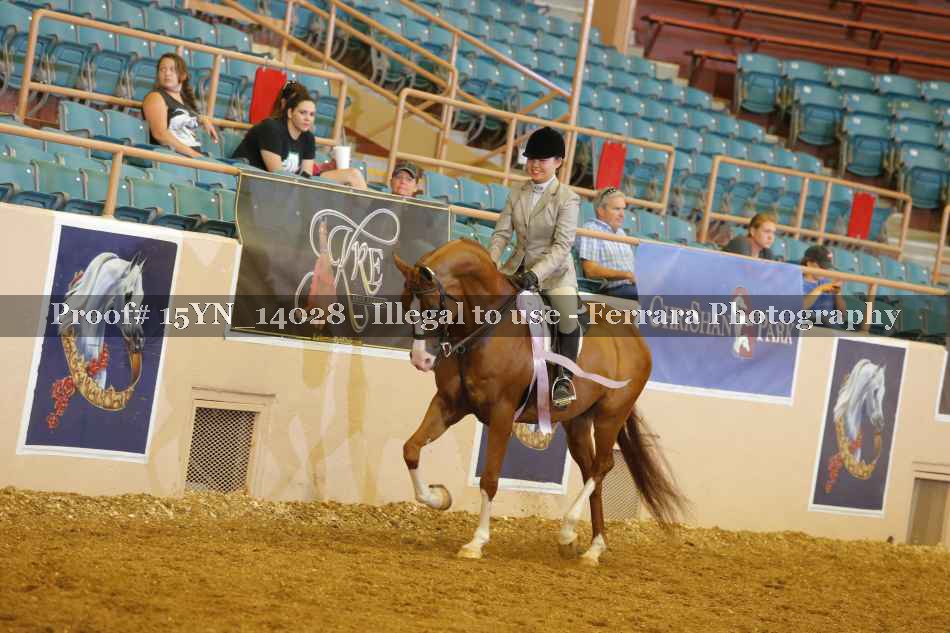 Proof 15YN_14028