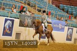 15YN_14028 proof