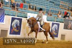 15YN_14029 proof