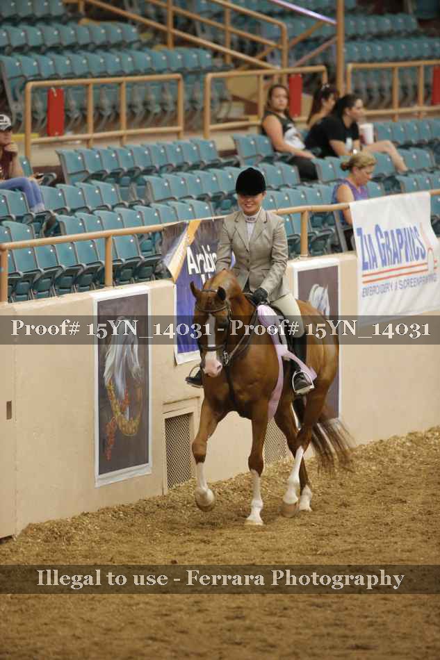 Proof 15YN_14031
