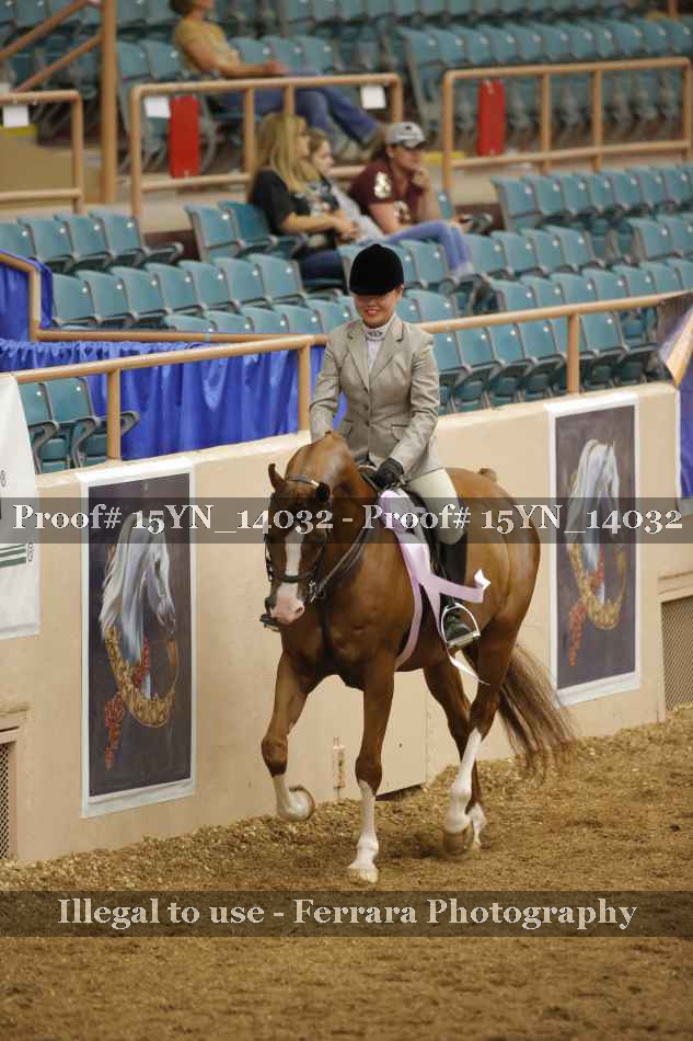 Proof 15YN_14032