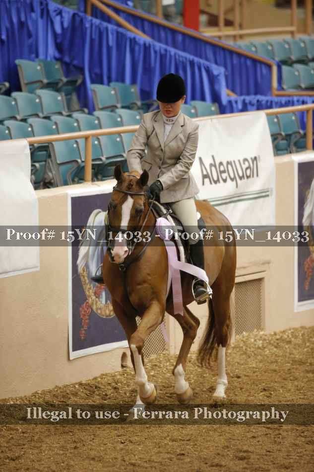 Proof 15YN_14033