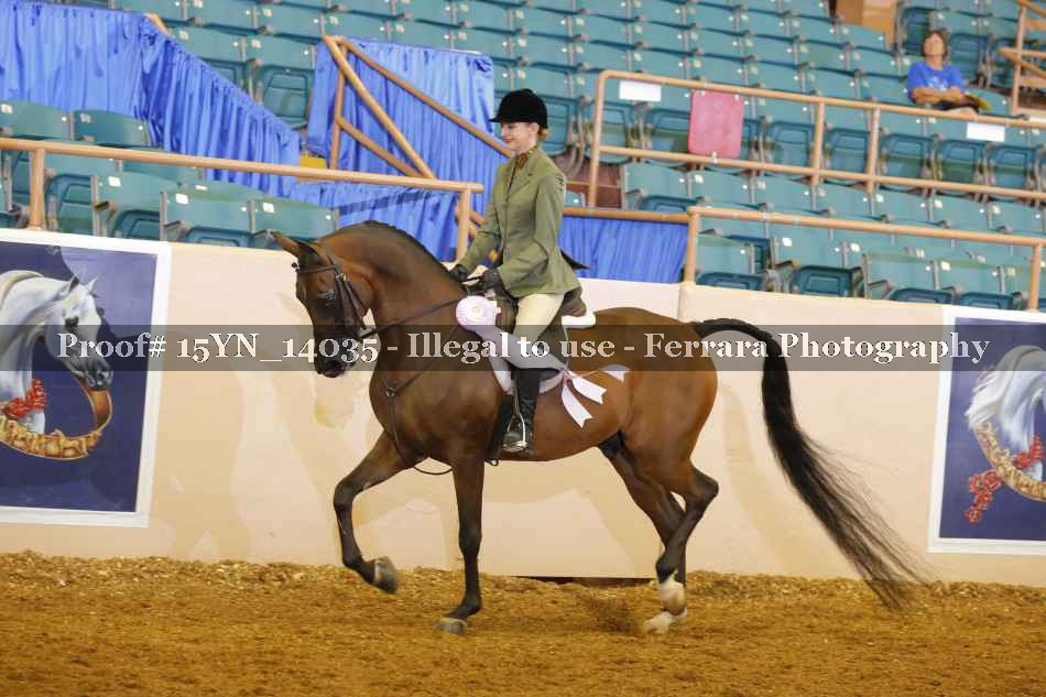 Proof 15YN_14035