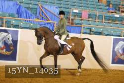 15YN_14035 proof