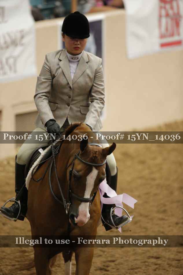 Proof 15YN_14036