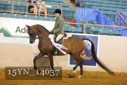 15YN_14037 proof