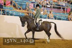 15YN_14043 proof