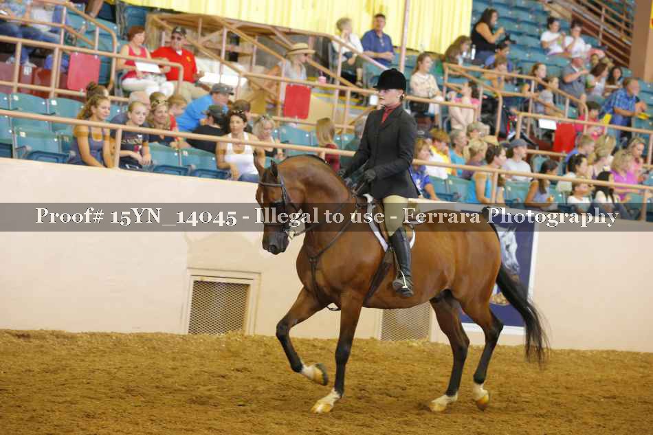 Proof 15YN_14045