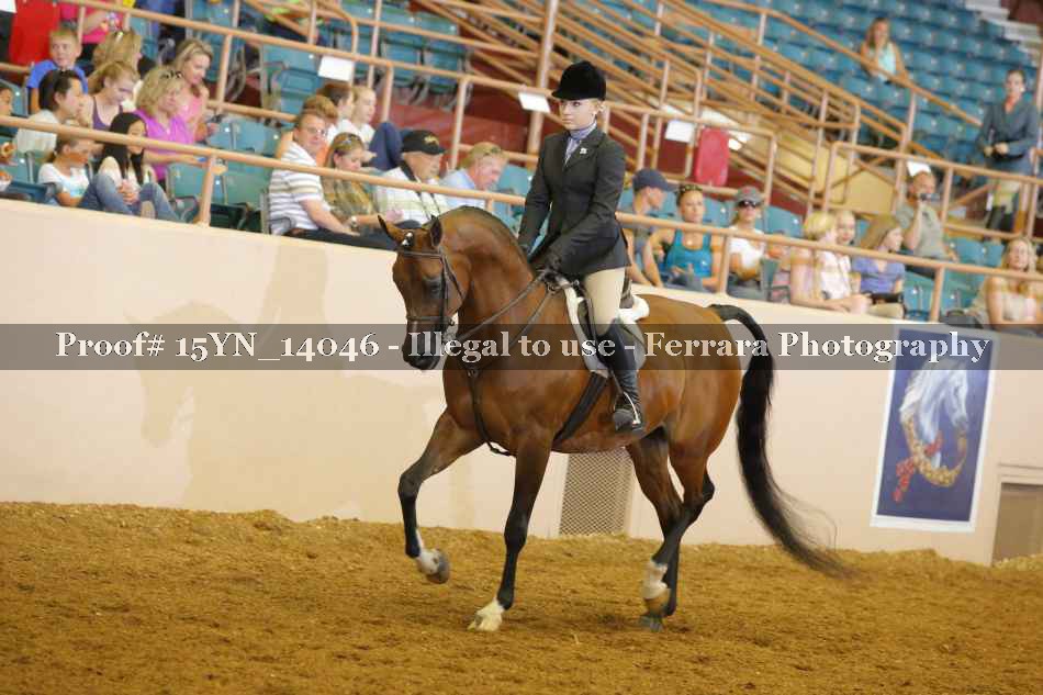 Proof 15YN_14046
