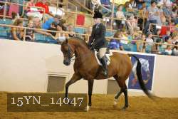 15YN_14047 proof