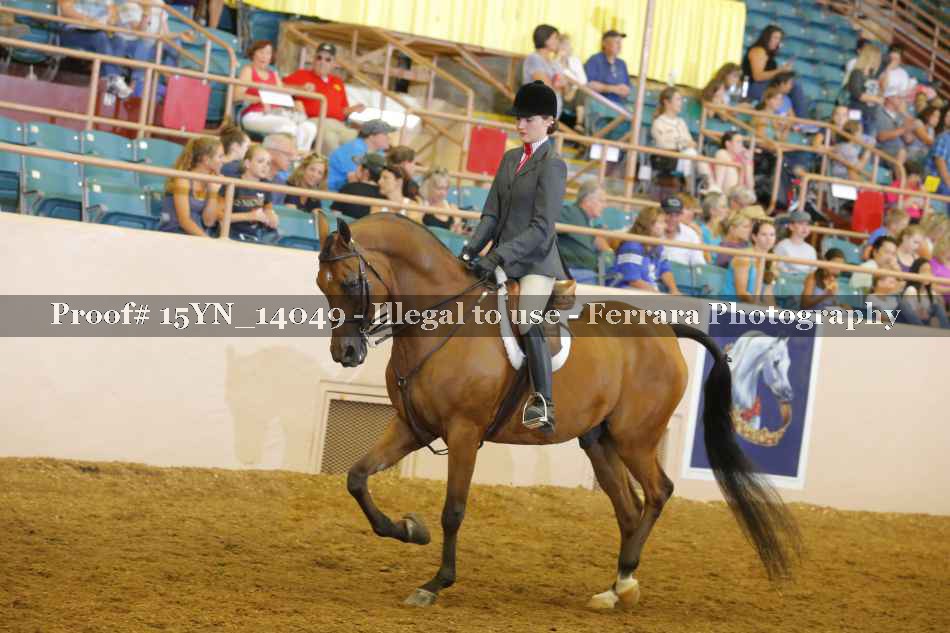 Proof 15YN_14049