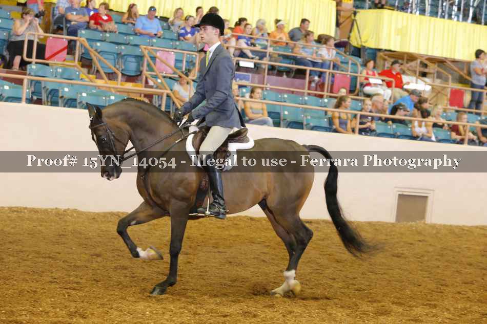 Proof 15YN_14054