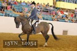15YN_14054 proof