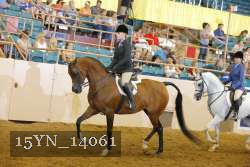 15YN_14061 proof