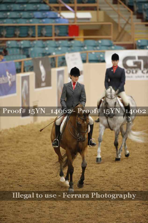 Proof 15YN_14062