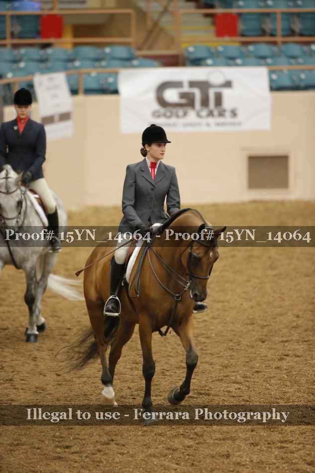 Proof 15YN_14064