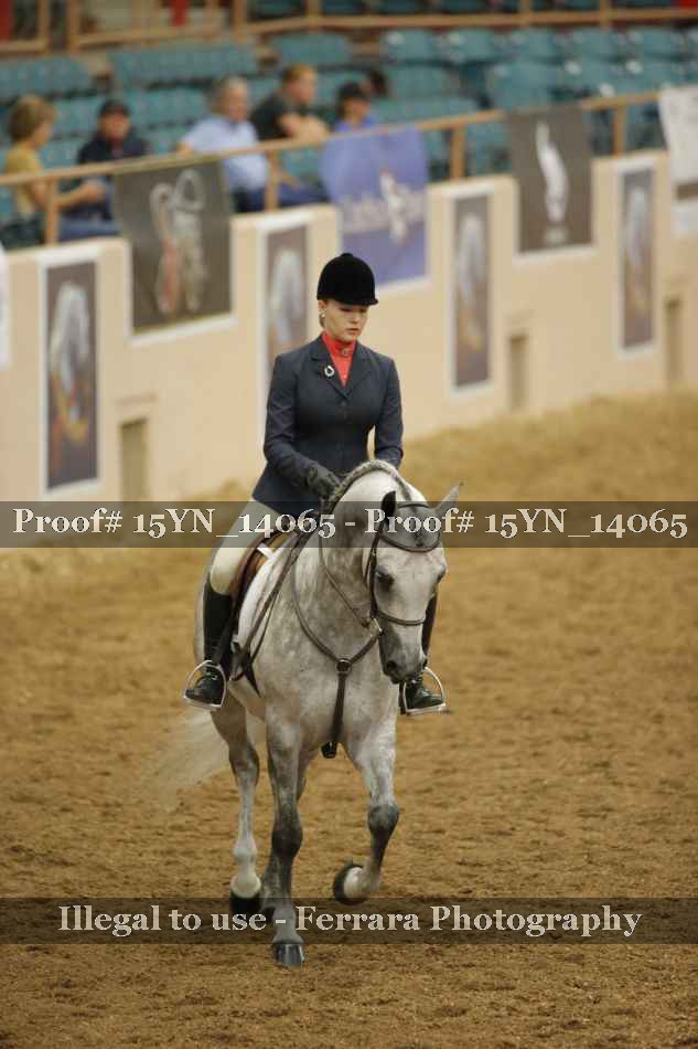 Proof 15YN_14065