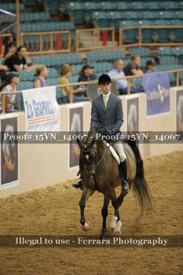 Proof 15YN_14067