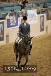 15YN_14069 proof