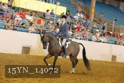 15YN_14072 proof