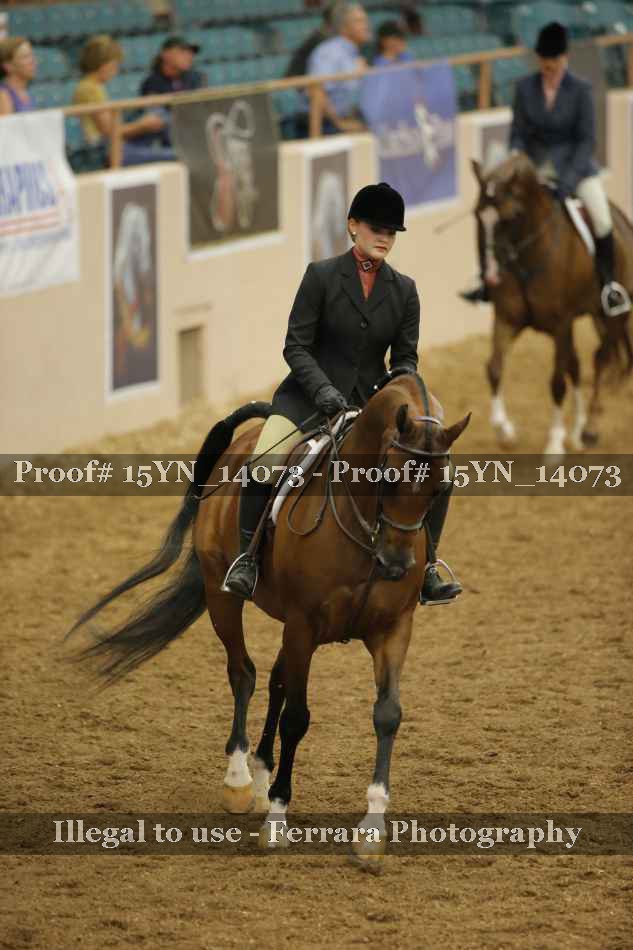 Proof 15YN_14073