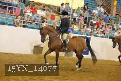 15YN_14077 proof