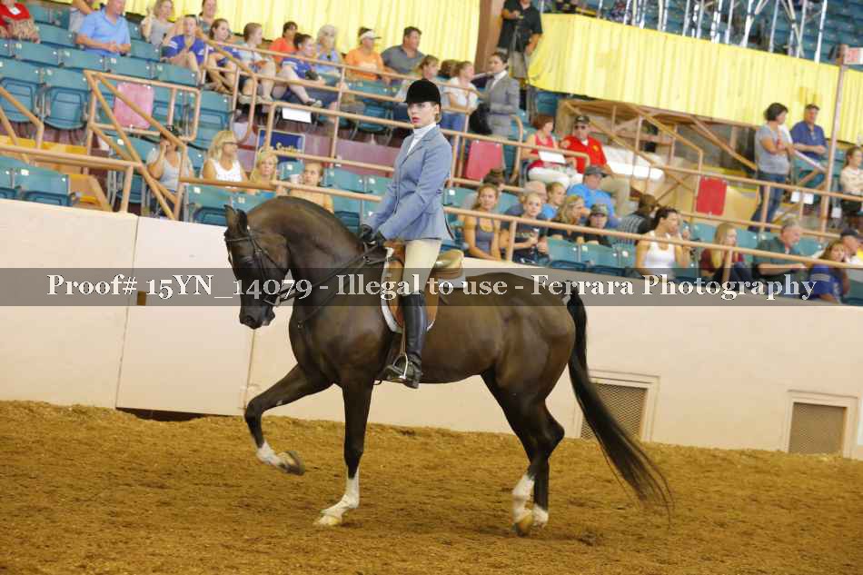 Proof 15YN_14079