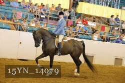 15YN_14079 proof