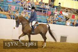 15YN_14081 proof