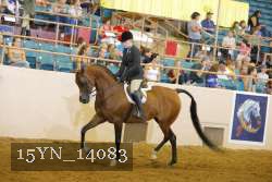 15YN_14083 proof
