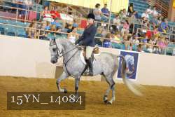 15YN_14084 proof