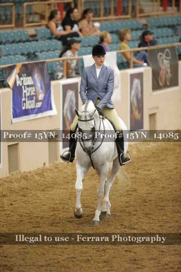 Proof 15YN_14085