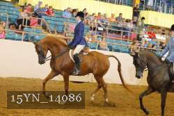 15YN_14086 proof