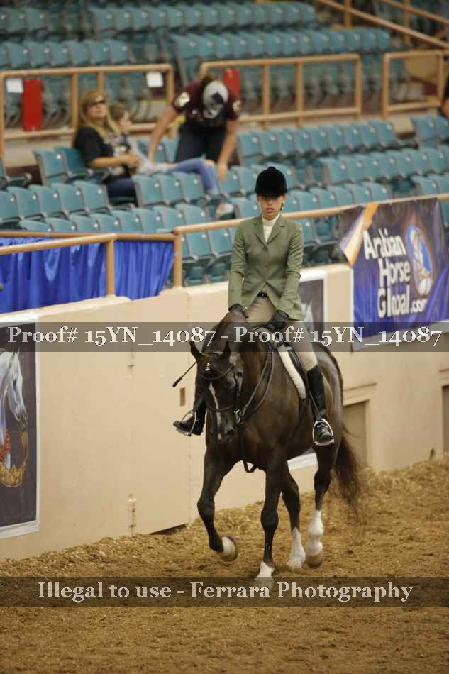 Proof 15YN_14087